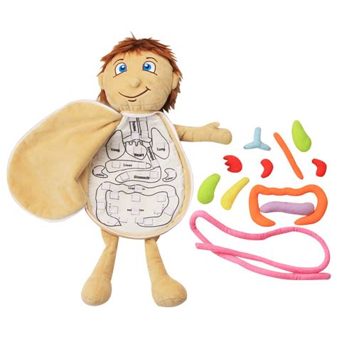 organ soft toys|what is the toy called to turn you into a skeleton.